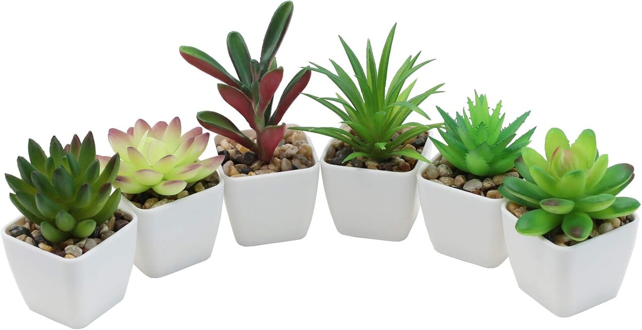 Set of 6 Mini Artificial Succulents in White Ceramic Pots – Lifelike Faux Small Potted Plants for Home, Office Desk, Shelf, Bathroom & Modern Room Decor